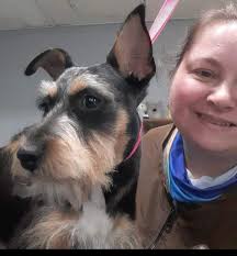 Hello, I'm Kelly the Groomer Taking new Clients, Petsmart in Elyria .Call  440-324-4665 or book online. On Sun., Mon., and Tue.