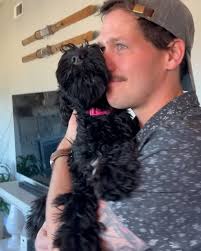 Iris, Jessie and Betsy are absolute bundles of joy. We are looking for  three lucky families to adopt them! Send this to your friend who needs  another bestie ❤️🐾