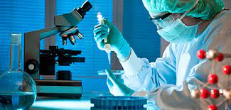 Microbiology Student Internship