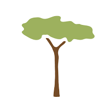 Large tree stencils for walls uk. Jungle Wall Mural Kit Wild Jungle Safari Stencil Kit