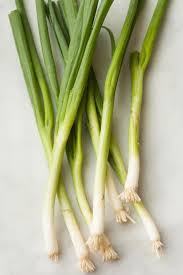 When To Use The White Part Versus The Green Part Of A Scallion Green Onions Scallion Spring Onion