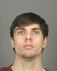 Man arrested in stolen vehicle case in Mendon