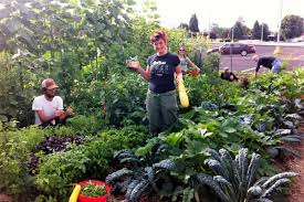 Community gardens are collaborative projects on shared open spaces where participants share in the maintenance and products of the garden, including healthful and affordable fresh fruits and vegetables. Five Eco Friendly Benefits Of Community Gardens Emagazine Com