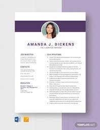 The shaded header sections stands out. Call Center Resume Example 11 Free Word Pdf Documents Download Free Premium Templates