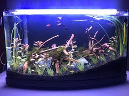 Mygos Plant Armatur