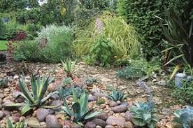 Check spelling or type a new query. Plante Grasse Exterieur Ombre