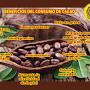 Xocoan Productos de Cacao from m.facebook.com