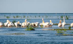 He has a lot of stories to tell to anyone interested in the history and development of the city. Turism La Sulina Delta DunÄƒrii Cazare Pensiune Sulina Delta DunÄƒrii