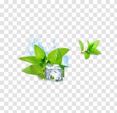 water mint ice cube menthol cubes transparent png water mint ice cube menthol cubes