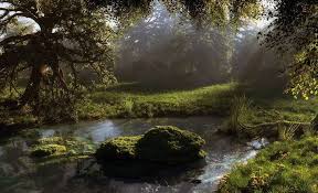 Kleiner Teich Im Wald Download Der Kostenlosen Grossformatigen Fotografien Von Naturlichen Landschaften Fur Mob Kleine Teiche Landschafts Tapete Landschaftsbau