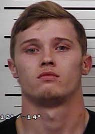 Eight arrested, 14 cited after HCSO breaks up teen drinking party