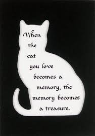 Robot Check Cat Poems Pets Cats Pet Loss