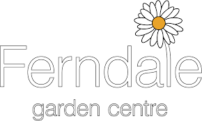 From winter white roses to frosted succulents, these gorgeous winter displays will bring warmth to any room. Winter Pansies Early Planting Means More Flowers New Ferndale Website Sheffield