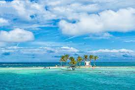 Scuba Diving In Glover S Reef Placencia And Hopkins Zublu