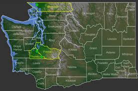 Image result for Wolffiella