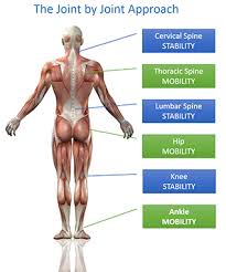 The difference between foh (front of house)/boh (back of house) is one of appearance and presentability. Five Reasons Your Low Back Hurts Part 1 Blue Sky Chiropractic Llc