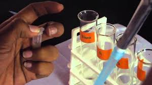 We did not find results for: How To Estimate The Protein Youtube