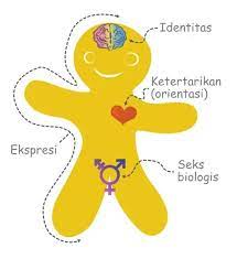 For example, girls and women are generally expected to dress in. Apakah Identitas Gender Dan Orientasi Seksual Itu Sama Halaman All Kompasiana Com