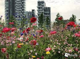 Un pezzetto di bam a casa tua: Milano Porta Nuova La Prima Primavera Della Biblioteca Degli Alberi Urbanfile Blog