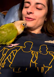 Parrot behavior and age comparison