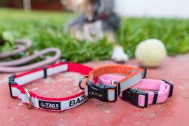 Why not share your thoughts and write a rescue review? The Best Dog Collar Reviews By Wirecutter