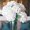 Petal perfect natural decorations, inc. 1
