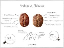 Arabica Vs Robusta Biji Kopi Resep Kopi Pecinta Kopi