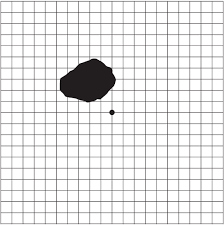 Example Of Results Of Threshold Amsler Grid Testing On A Patient Download Scientific Diagram