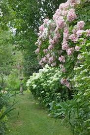 Jardin Edith Mc Leod Orleans Loiret Garten