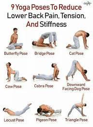 Yoga It S For Men Too Lower Back Exercises Back Exercises Yoga Postures