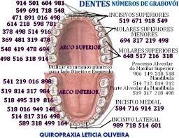 Healing Teeth Dr Grabovoi Healing Codes Teeth Doctor Healing Frequencies