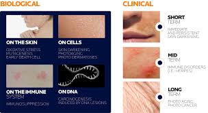 Image result for Uvariastrum