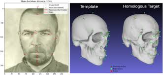 Artificial intelligence in forensic anthropology: State of the art and  Skeleton-ID project