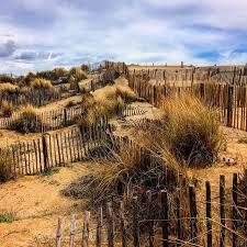Ca Sent Bon Le Printemps Poil Aux Dents Beachplease Ondiraitlesud Doucefrance Lavieestbelle Packadilly Cestlamour Outdoor Farmland Vineyard