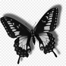 Free butterfly clipart, animations and butterfly gifs. Centerblog Image Butterfly Gif Png Herunterladen 1024 1024 Kostenlos Transparent Motten Und Schmetterlinge Png Herunterladen