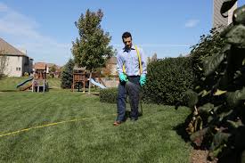 Unfortunately, caring for your lawn is exceptionally tedious. Questions You Should Ask Before Hiring A Lawn Care Company
