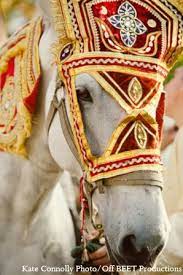 Photo Indian Wedding Baraat Horse Indian Wedding Shoes Horse Costumes Horses