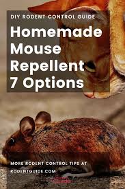 Opt for a homemade rat and mice repellent for a safe, effective way to keep these rodents out of your house.our most favorite and the most effective natural repellents for mice are peppermint oil, balsam fir oil, and lemon citrus oil.outdoor mouse magic repellent is a perimeter mouse repellent that makes your whole house less appealing to these. Peppermint Oil Mice Repellent Recipe