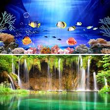 Wow Double Sided Aquarium Poster Background Fish Tank Vivarium Landscape Hot Aquarium Backgrounds Fish Tank Aquarium Fish Tank