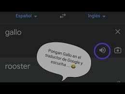 Gallo se volvió viral luego que un usuario publicara un video para difundir su gracioso descubrimiento. Krubi1ee9i4wlm