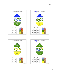 Eggster Genetics Worksheet 1 To Be Used With M M Candy Plastic Eggs Fun Science Genetics 7th Grade Science