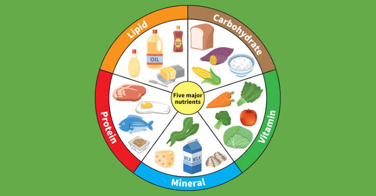 Nutrients Image