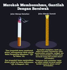 Hukum merokok dalam islam mp3 & mp4. Merokok Membunuhmu Gantilah Dengan Bersiwak Cinta Quotes Islamic Quotes Health Info