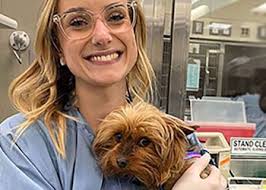 Robert Groves Begins as VP for University Advancement