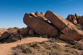 Maybe you would like to learn more about one of these? Tom S Thumb What To Expect Mcdowell Sonoran Conservancy