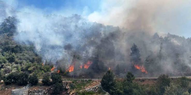 Yangınlarda Yüreklere Su Serpen Haber: Alanya ve Çine'den Güzel Gelişmeler!