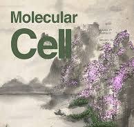 Made-to-order Cover Design For Molecular Cell,Custom Cover ...