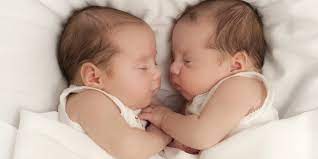Por Que Nacen Gemelos Que Son Gemelos Identicos Y Que Mellizos
