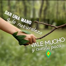 Dar Una Mano A La Naturaleza Vale Mucho Y Cuesta Poco Frases Ambientales Salud Y Medio Ambiente Frases De Medio Ambiente