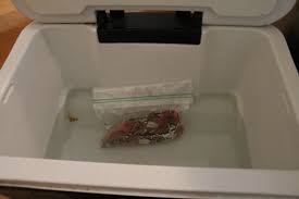 Sous Vide Beer Cooler Hack And Easy Perfect Sous Vide Steak 40 Aprons